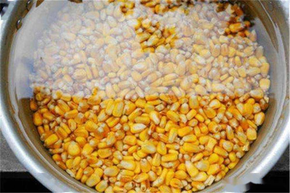 多种老玉米饵料的制作方法,野钓通杀青草鲤,只要上鱼就是大的
