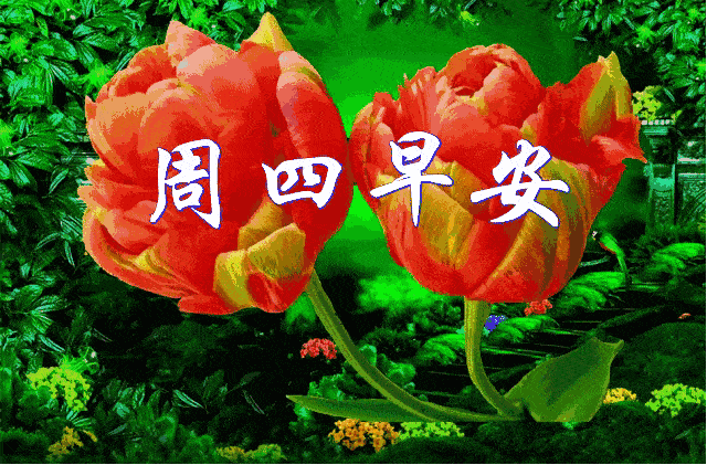 6月11日周四群发早上好问候祝福动态表情图片 6月最美