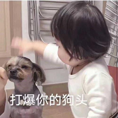 姐妹们有没有哪些可爱小孩的表情包鸭?