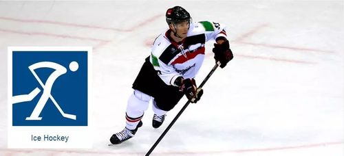2018平昌冬奥会正式开幕,102项赛事的中英文术语都在这儿了