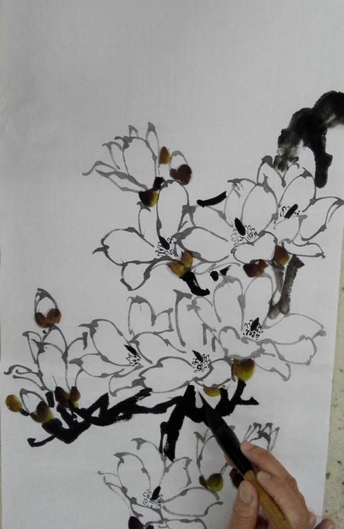 岭海花鸟研修陈铭波老师课件一一玉兰花,辛夷花,木芙蓉
