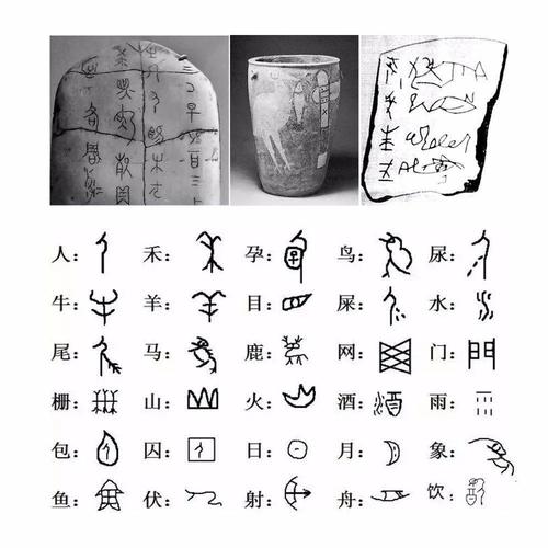 甲骨文之12生肖-象形字系列_文字