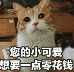 猫咪表情包|你的小可爱,没钱吃肉肉了!