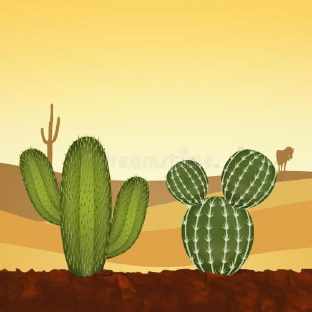 沙漠仙人掌图片头像