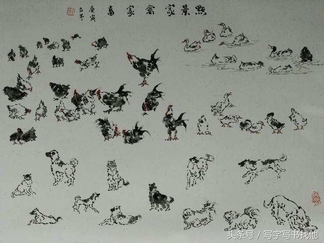 【放大看看,啥样子】【点景飞禽水墨画法】【舞鹤动态水墨画法】