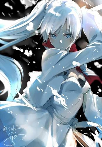 嘴毒心善,weiss schnee(rwby)介绍