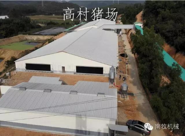 看温氏股份猪场发展之路------传统,大线,高效工厂化    大线式猪舍