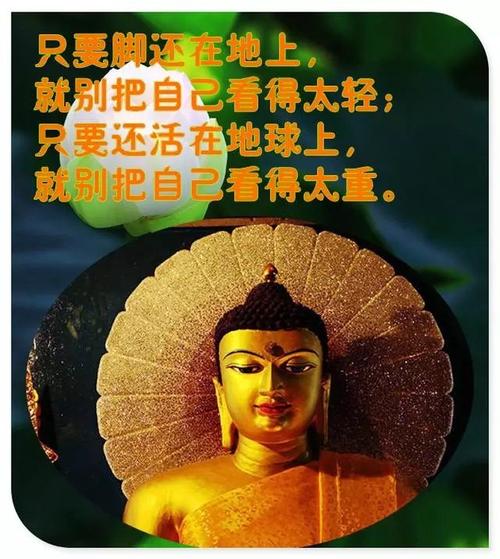 心中有善,处处是善;心中有佛,处处是佛!