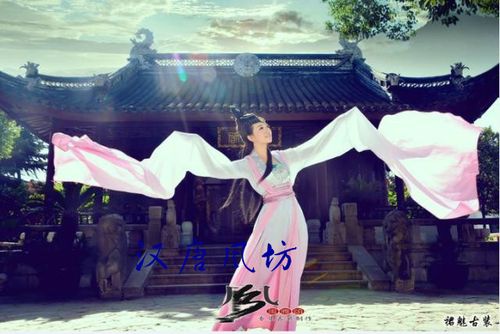 汉唐朝代古装/妹姜水袖舞衣/飘逸古装/仙女演出服 姜妹甩袖舞蹈服