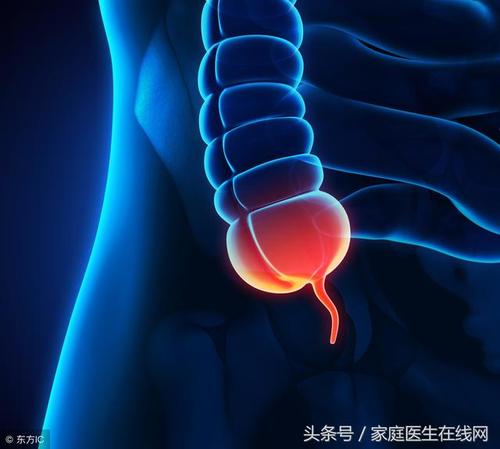 阑尾在左边还是右边,阑尾有什么作用,可以切了吗!