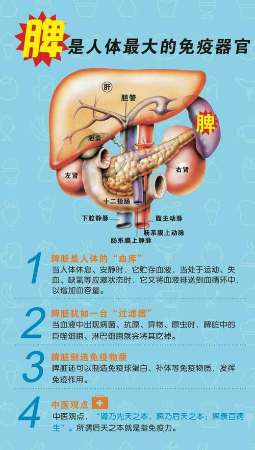 全天下宝妈都有的烦恼