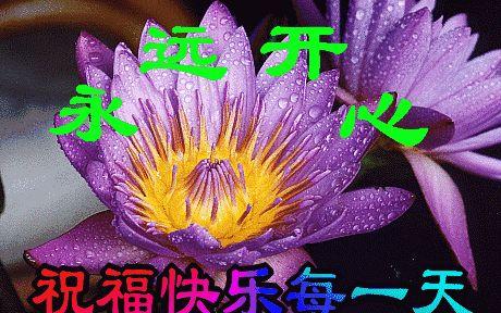 最新早上好特漂亮祝福图片春天暖心早安问候语简短