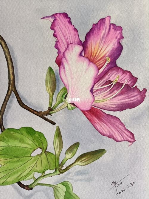 水彩画_风景_水彩风景_文化_绘画