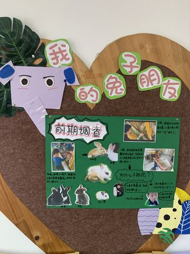 小班兔子主题活动_教育_学前教育
