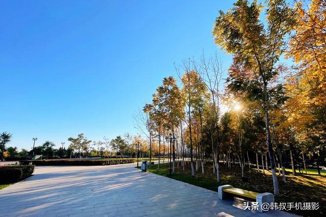 哈尔滨群力外滩湿地公园,景美人少