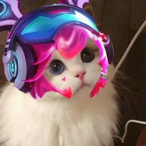 王者荣耀猫咪头像安琪拉高清大图 头像猫咪安琪拉原图
