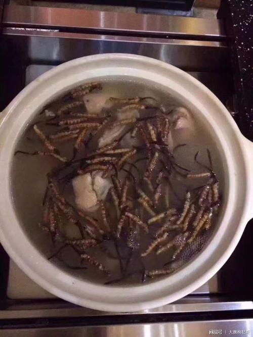 3煲粥:粥沸腾后放入鲜虫草,再文火煮5分钟.