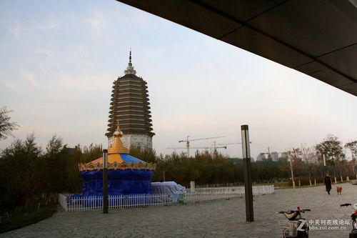 11.1日沈阳浑南 白塔堡 白塔公园 拍摄习作分享