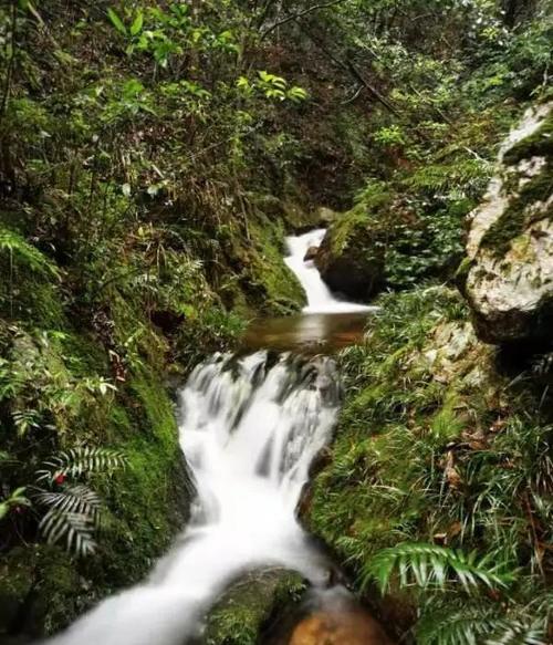 福建龙岩有个私藏的野生瀑布真实瀑布比照片还美知道的人不多