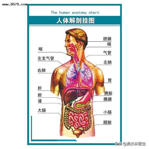 慢性肝炎肝区会持续痛吗?