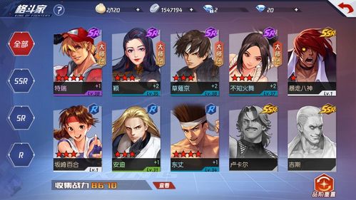 拳皇命运手游r卡汇总排名 r级格斗家哪个值得培养[多图]