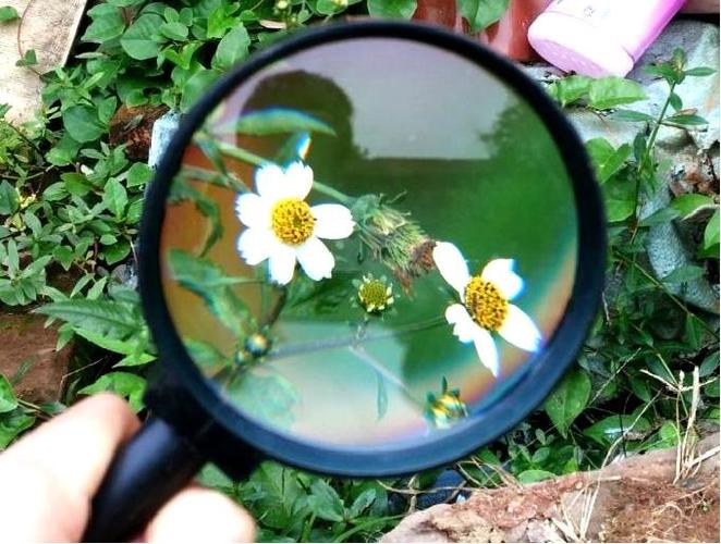 绘画兴趣班——神奇的放大镜