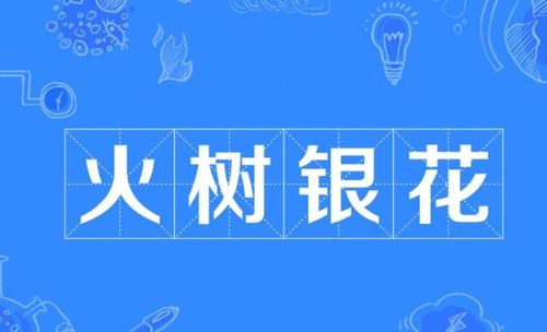 火树银花是什么意思