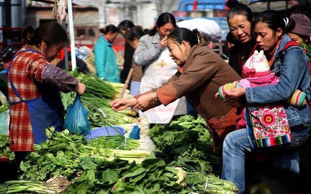 撑不下去的时候,就去菜市场走走
