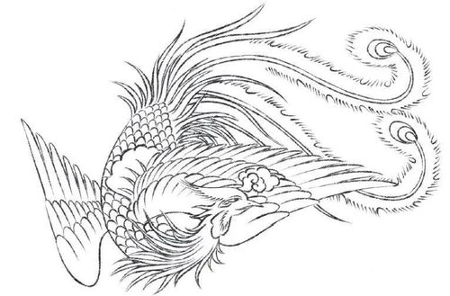 吉祥如意的白描凤凰,是这样画出来的!