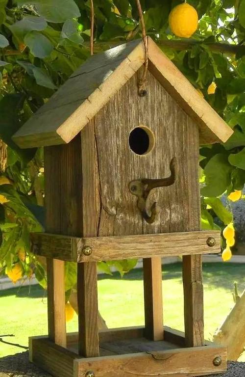 亲子手工 | 创意diy鸟窝,给小鸟安个家吧