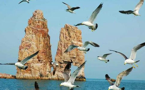 烟台万鸟岛游玩攻略(门票 地点 路线)