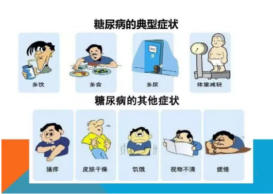 快讯:干细胞通过改善胰岛素抵抗,为治疗2型糖尿病提供新方向!