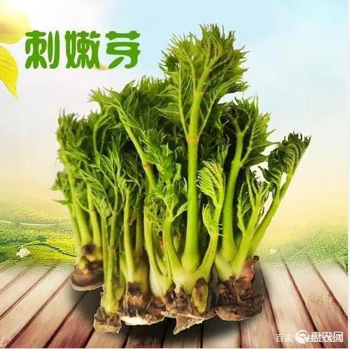 刺老芽好吃但那时我们还真舍不得吃,因为它可以出口卖钱且价格不菲.