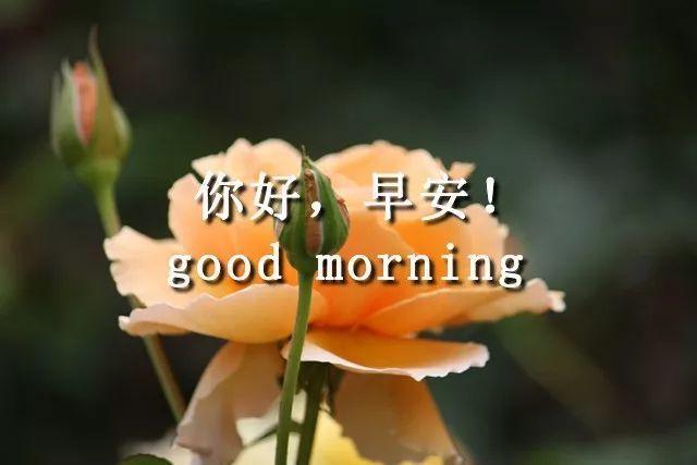 早上好图片带字句子2022微信早上问候语及关心话_腾讯新闻