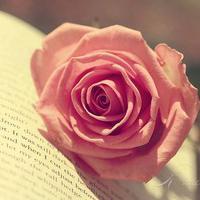 头像淡雅图片女生