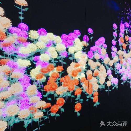 花舞印象.art by teamlab图片-北京日本料理-大众点评