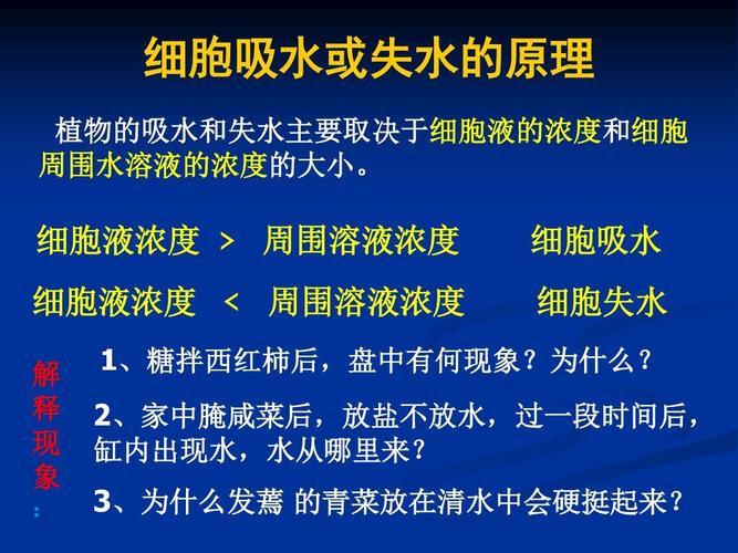 细胞吸水失水ppt