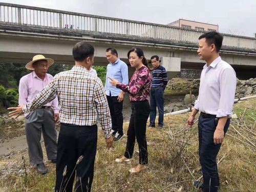 屯昌县李梅副县长巡查坎头河