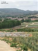 肖家杨庄村_山东省临沂市沂水县沙沟镇肖家杨庄村