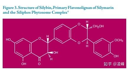 水飞蓟宾是一种有效的抗氧化剂,可以保护肝细胞中的谷胱甘肽(gsh)