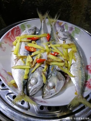 行走的氨基酸,巴浪鱼,一道既营养又鲜美的菜肴