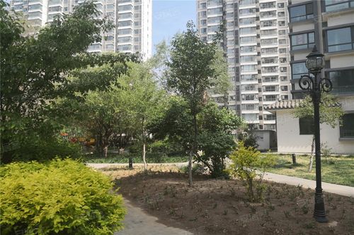 西宁宁瑞水乡-实景图(14) - 西宁安居客