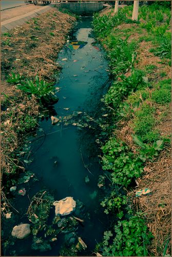 标题:《《《臭水沟》》》——环保问题,不容忽视!(二)