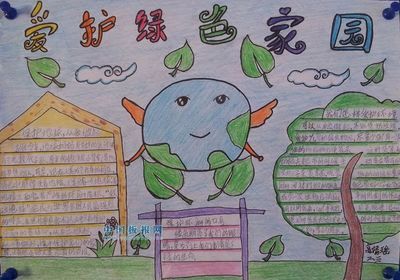 保护绿化树木手抄报