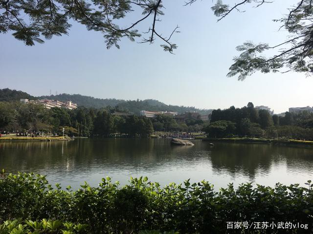 芙蓉湖位于厦门大学本部老校区的中央,光看照片是不是感觉到了某个