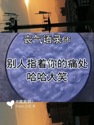 丧气语录_语录_丧气语录_兴趣爱好_兴趣爱好其他