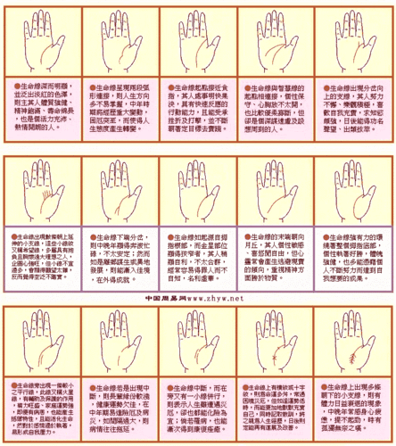 生命线图解(上篇)