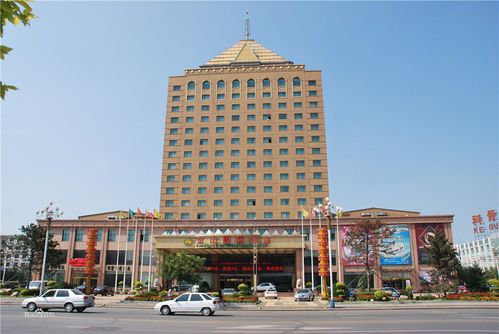 金山国际
