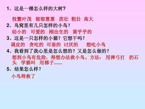 如何指导低年级看图写话