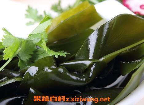 海带和海菜有什么区别
